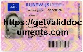 Buy Dutch license Netherlands driving permit Get Dutch license Buy EU license Fast Dutch license Netherlands driver permit