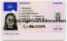 Buy Danish driver’s license Order Danish driving license Purchase Danish driver’s license Get Danish driving license Buy real Danish license