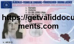 Front side of a real Belgian driver’s license with name and photo
