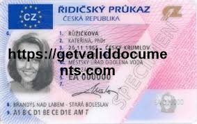 Back of Czech driver’s license showing driving categories and validity