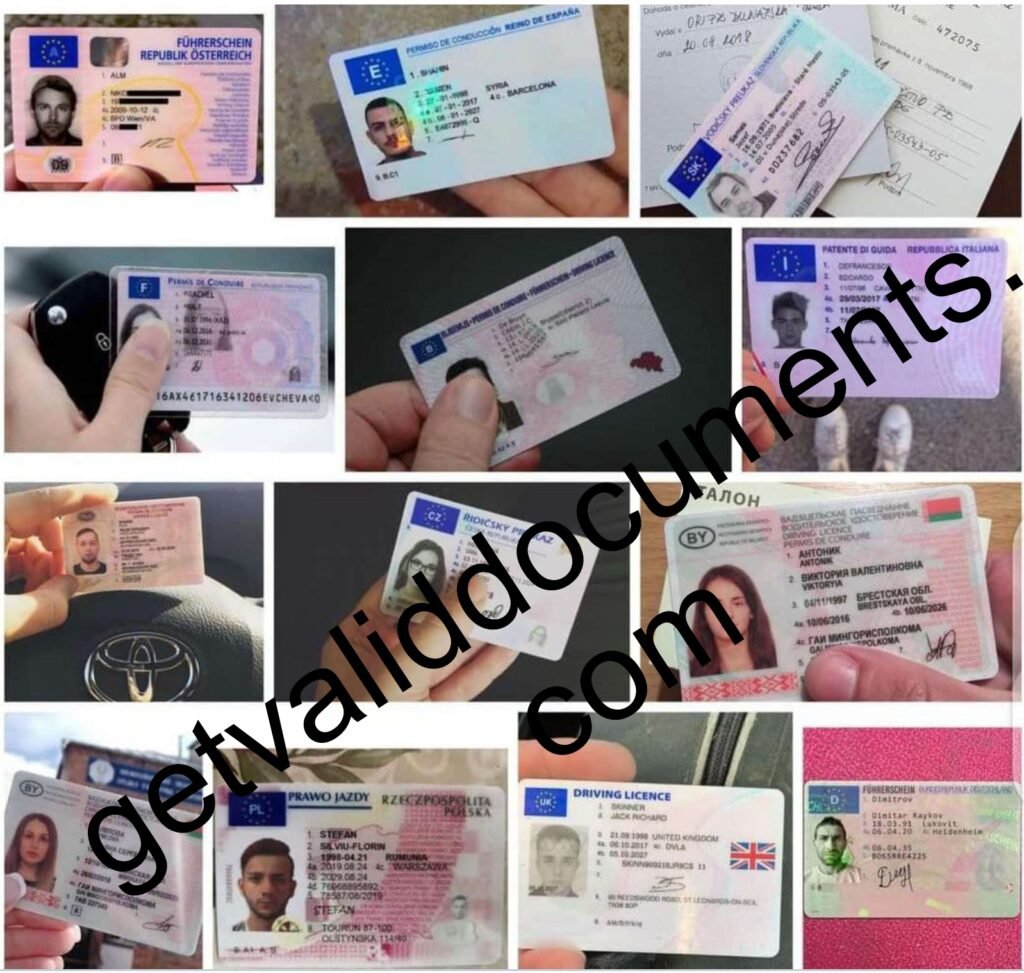 Original European driving license for cars and motorcycles