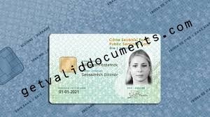 Real Irish Public Services Card with biometric chip and personal details