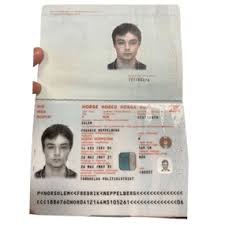 Secure way to order Norwegian passport online in 2025