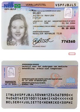 Buy Dutch residence permit online with verification and fast delivery
