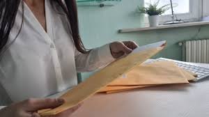 Authentic passport with hologram and chip verification