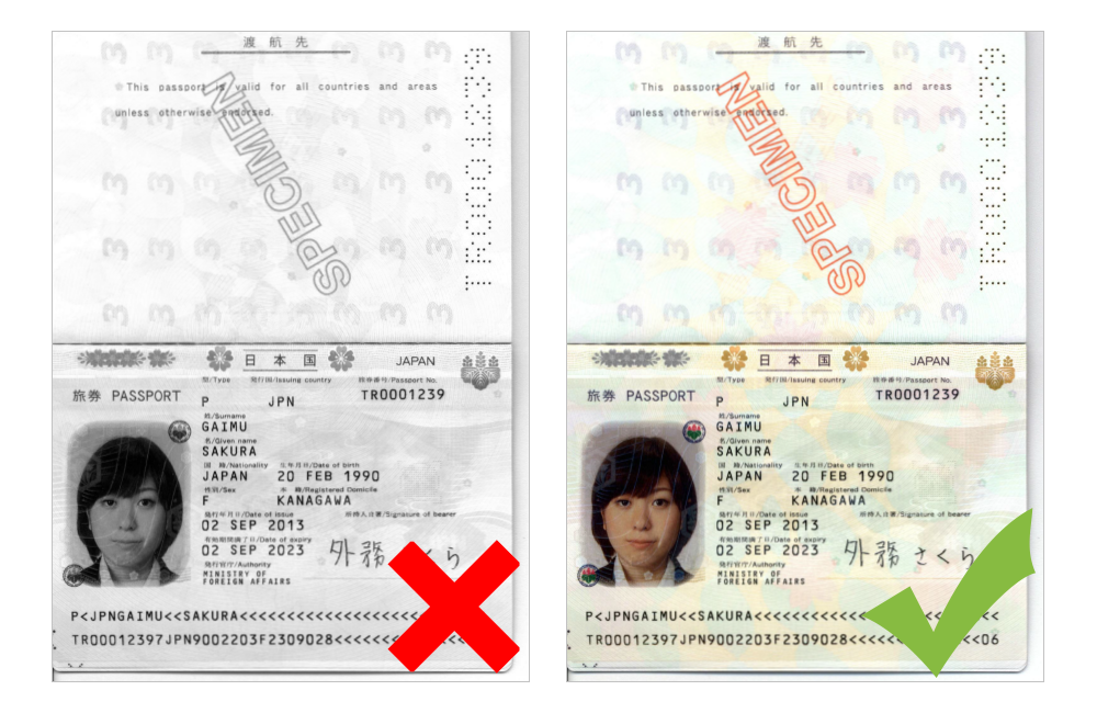 Fully registered and scannable passport from Getvaliddocuments.com