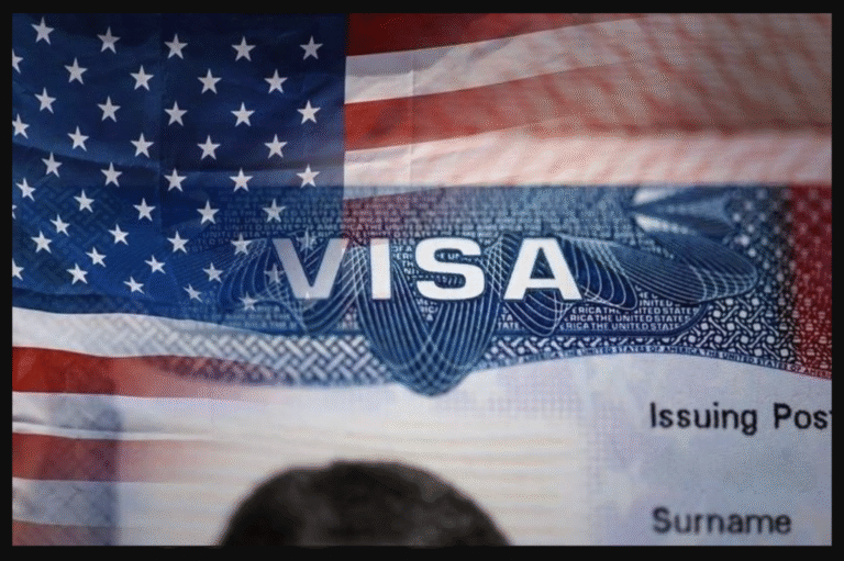 Do you provide US visas online?